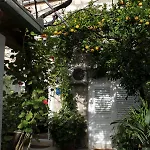 Appartement With Wifi Trsteno, Dubrovnik - 4746 Trsteno
