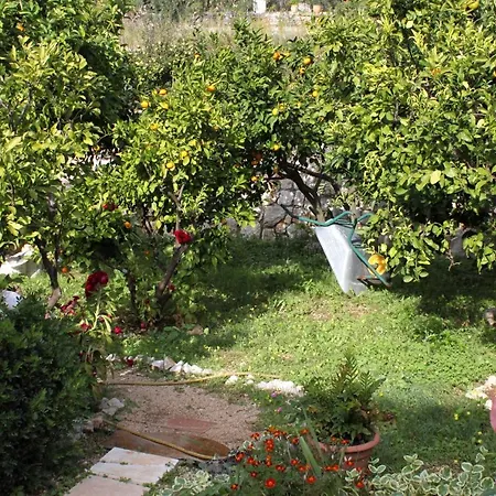 With Wifi Trsteno, Dubrovnik - 4746 Apartament Trsteno