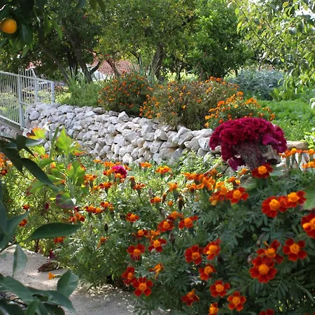 Apartman With Wifi Trsteno, Dubrovnik - 4746 *