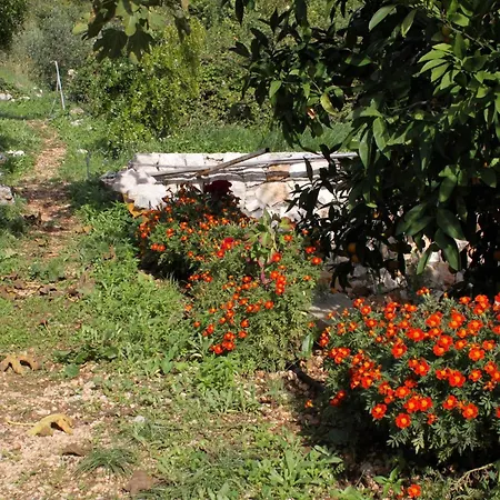 With Wifi Trsteno, Dubrovnik - 4746 *