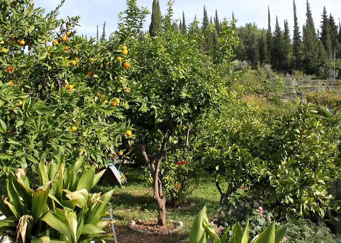 With Wifi Trsteno, Dubrovnik - 4746