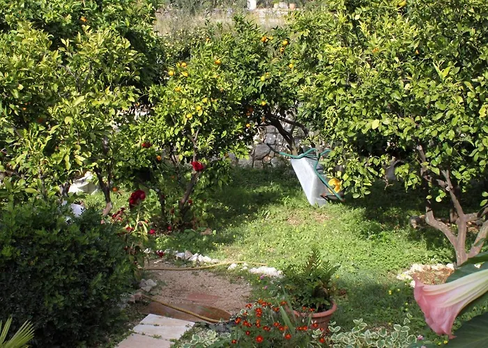 With Wifi Trsteno, Dubrovnik - 4746 דירה טרסטנו