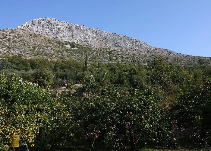 דירה With Wifi Trsteno, Dubrovnik - 4746 טרסטנו