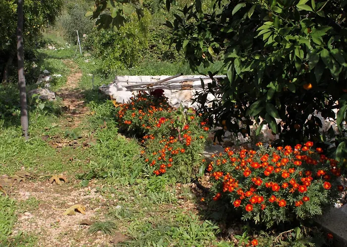 With Wifi Trsteno, Dubrovnik - 4746 *
